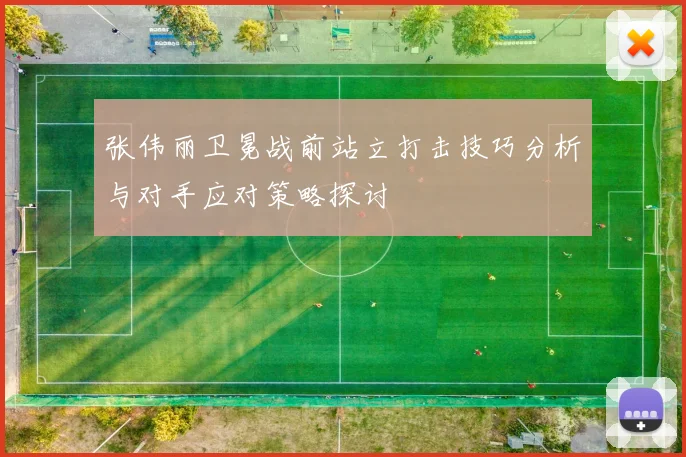 张伟丽卫冕战前站立打击技巧分析与对手应对策略探讨